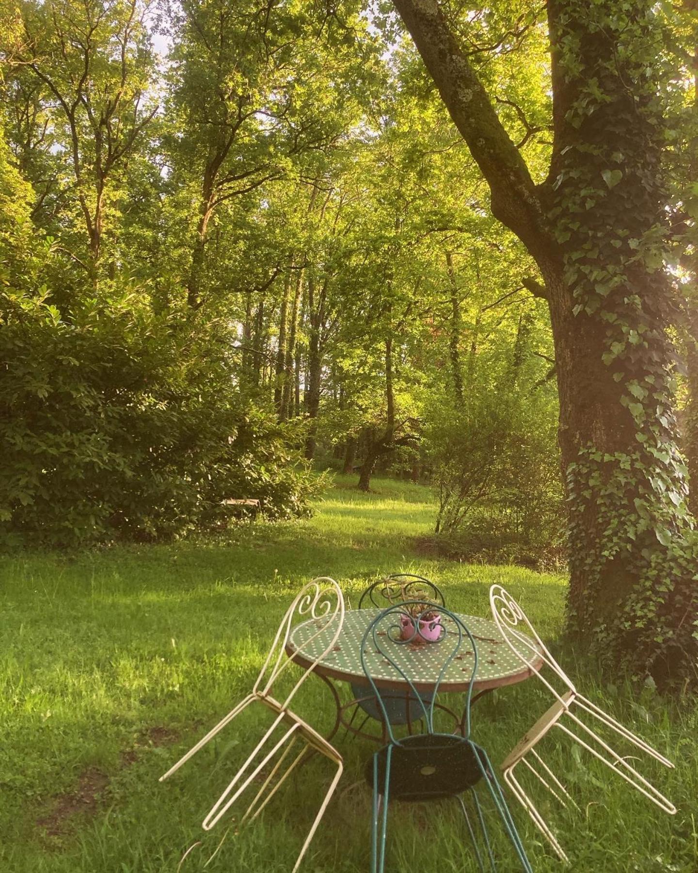 Les Bois De Ravel Chambres D'Hotes Exterior photo